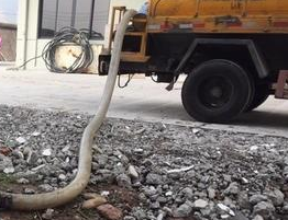 电白通下水道多少钱